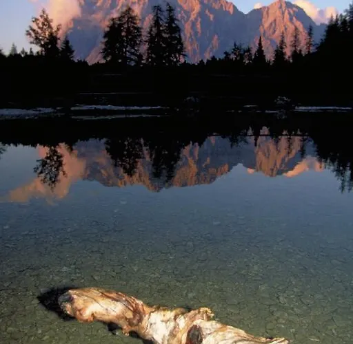 Der Gruene Baum Mountain Boutique 4*