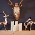 Der Gruene Baum Mountain Boutique Hotel